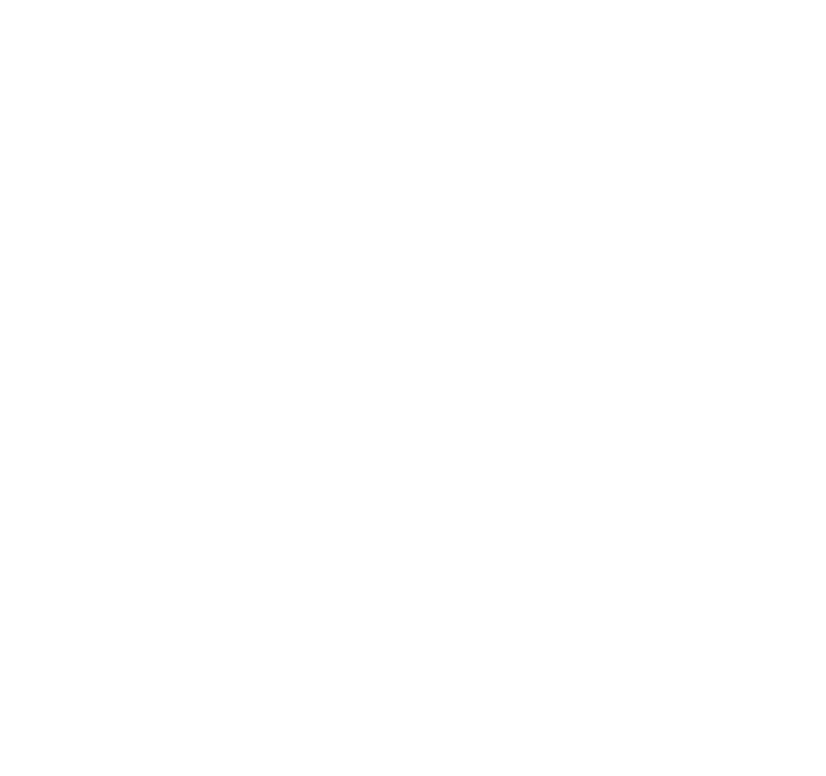 Salsa SPA Logo White